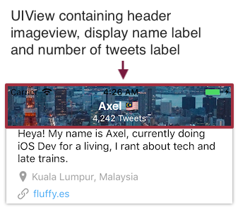 headerContainerView